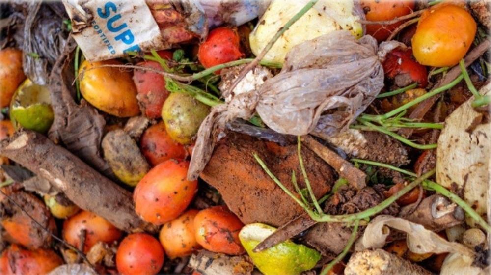 UN report says with 783 million people going hungry, a fifth of all food goes to waste