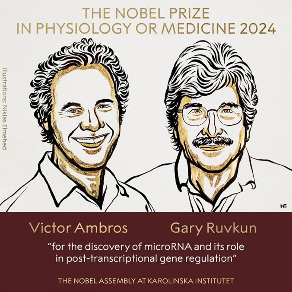 Two scientists win Nobel Prize in Medicine for discovery of microRNA