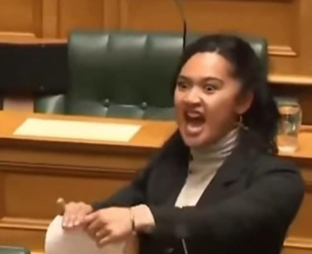 Maori MP tears up Treaty Bill, performs traditional haka in New Zealand Parliament to protest