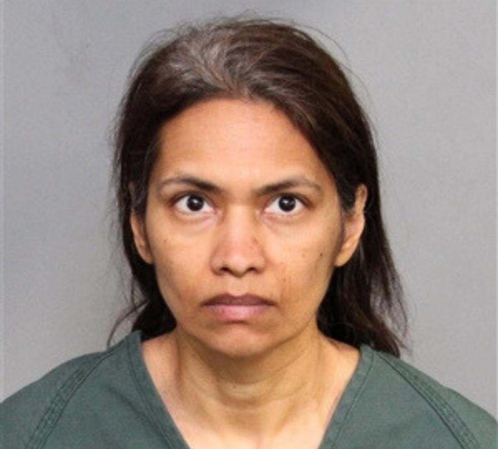 USA: Mother arrested after she slits 11-year-old son's throat following Disneyland visit 