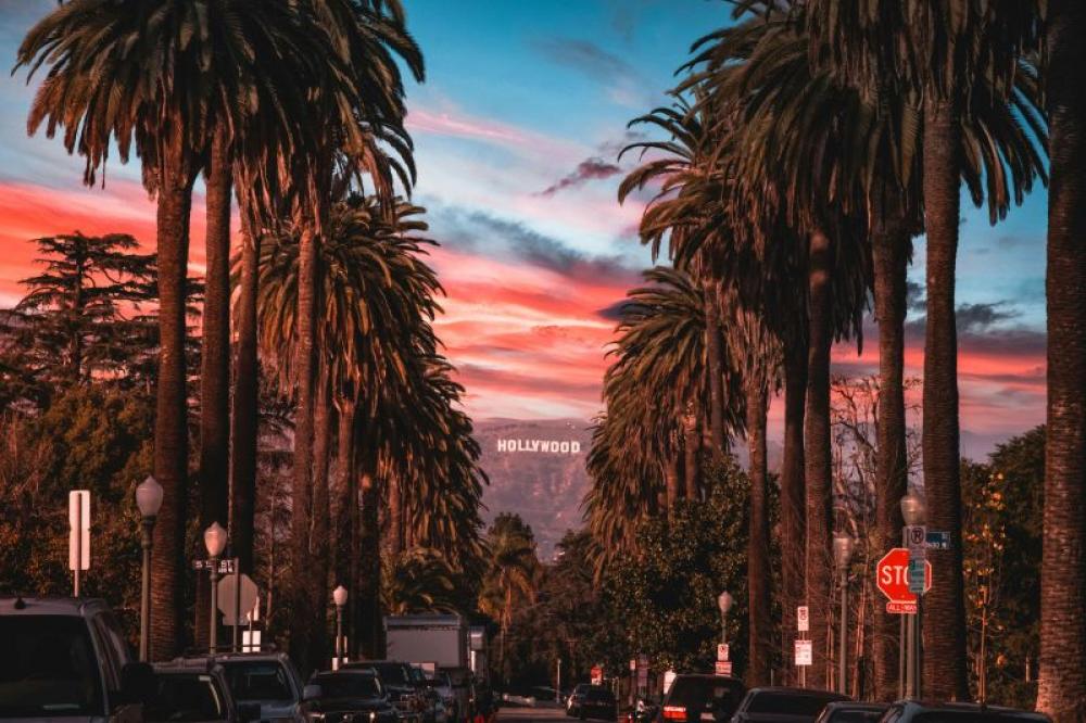 US: Vehicle strikes crowd in Los Angeles, 20 injured