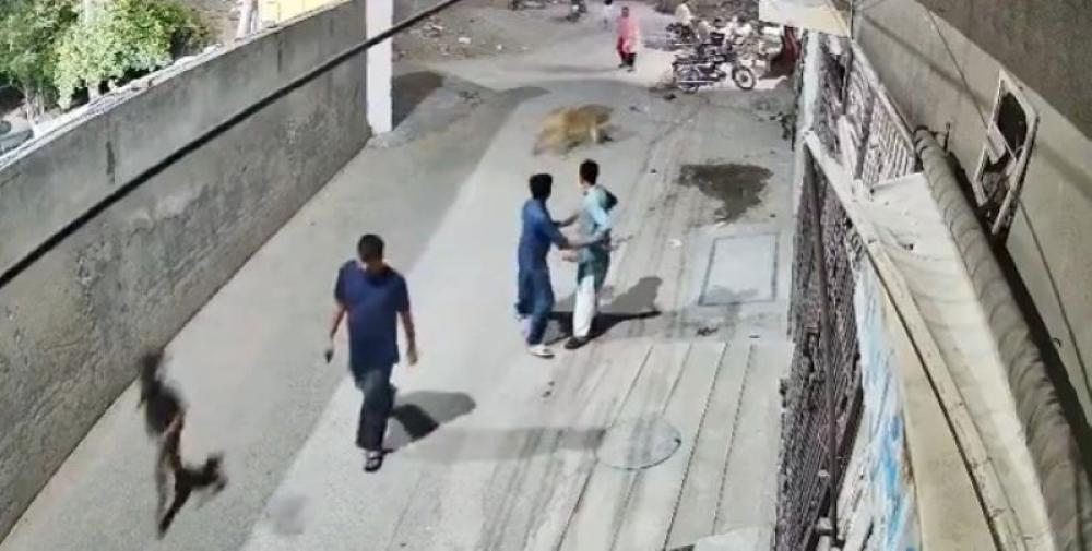 Authorities seize 13 illegally kept lions in Pakistan, arrest five individuals days after Lahore attack Authorities seize 13 illegally kept lions in Pakistan, arrest five individuals days after Lahore attack
