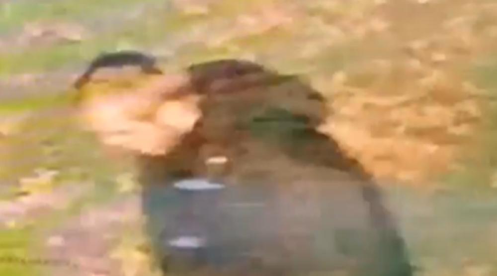 UK: Indian-origin woman raped in West Midlands in 'racially aggravated attack', police release CCTV image of suspect UK: Indian-origin woman raped in West Midlands in 'racially aggravated attack', police release CCTV image of suspect