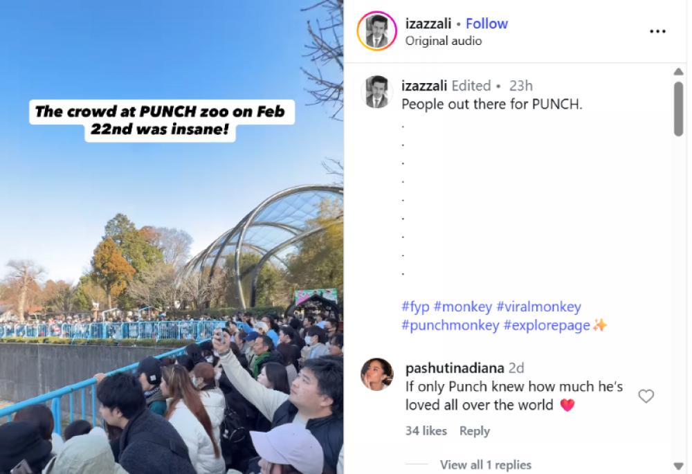 Crowd swelled at the zoo for Punch. Photo: Screen-grab/izazzali Instagram video