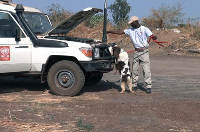 Dogs join UN in South Sudan to protect civilians