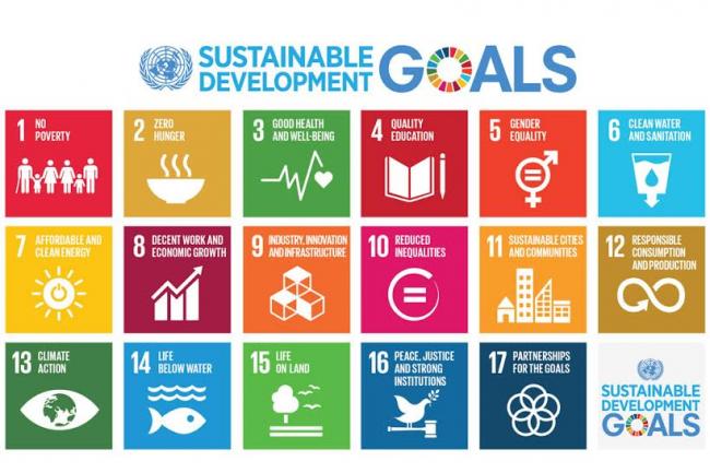 Ban names advocates to propel achievement of Sustainable Development Goals