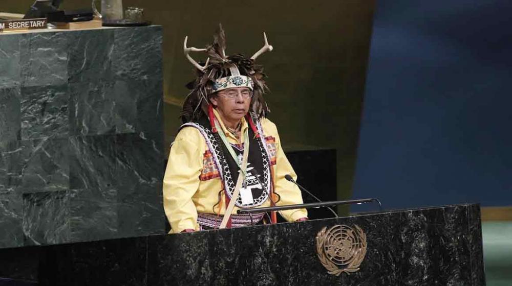 Status of declaration on indigenous peoples