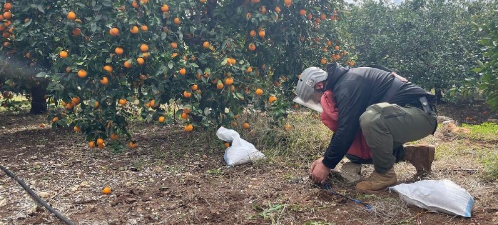 World fails again: Landmine casualties hit record levels as treaties stall 