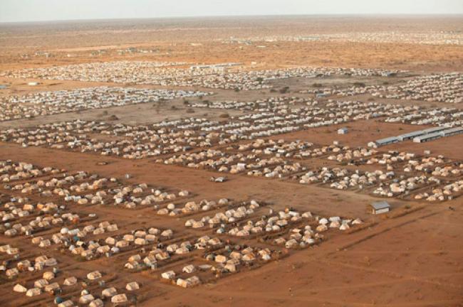 Somali repatriation process must be voluntary in Kenya: UN