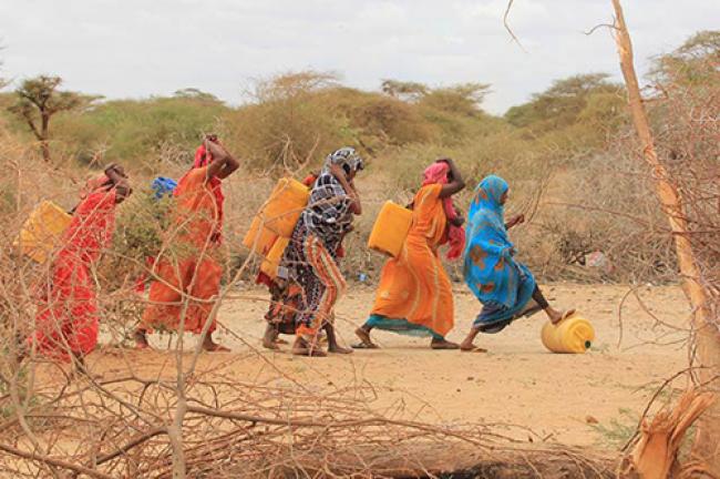 ‘World must act now’ to avert repeat of devastating famine in Somalia – UN expert
