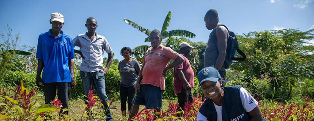 Farmers in northern Haiti dig for resilience