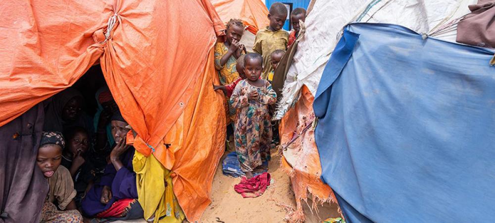 Somalia: $2.6 billion appeal to aid millions still on the brink of famine