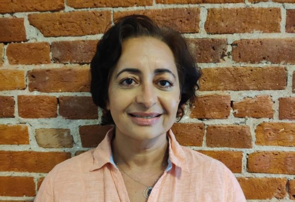 Who is Meenu Batra? Indian-origin court interpreter detained by ICE after over 35 years in US